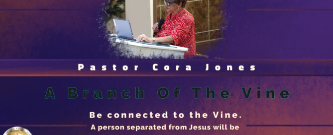 A Branch Of The Vine