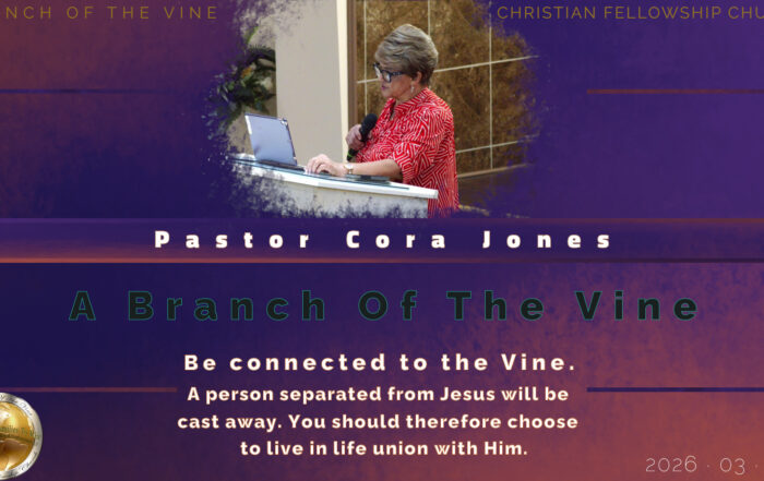 A Branch Of The Vine