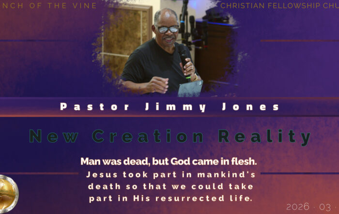 New Creation Reality