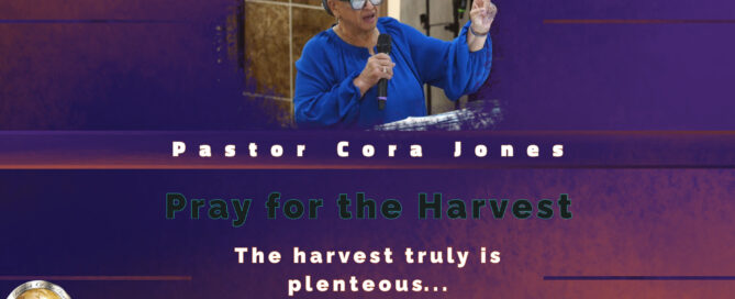 Pray for the Harvest