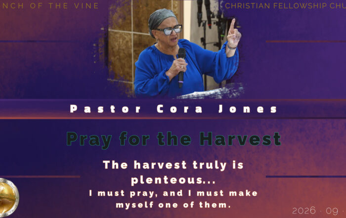 Pray for the Harvest